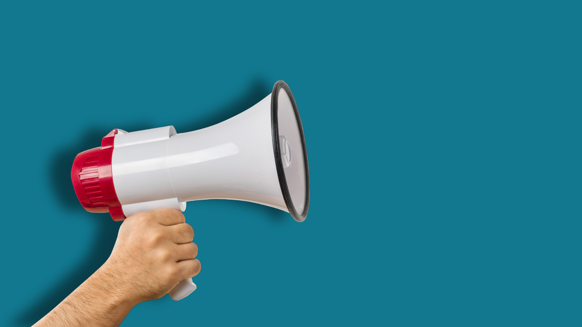 Abrogati i divieti italiani su xenotrapianti e sostanze d’abuso