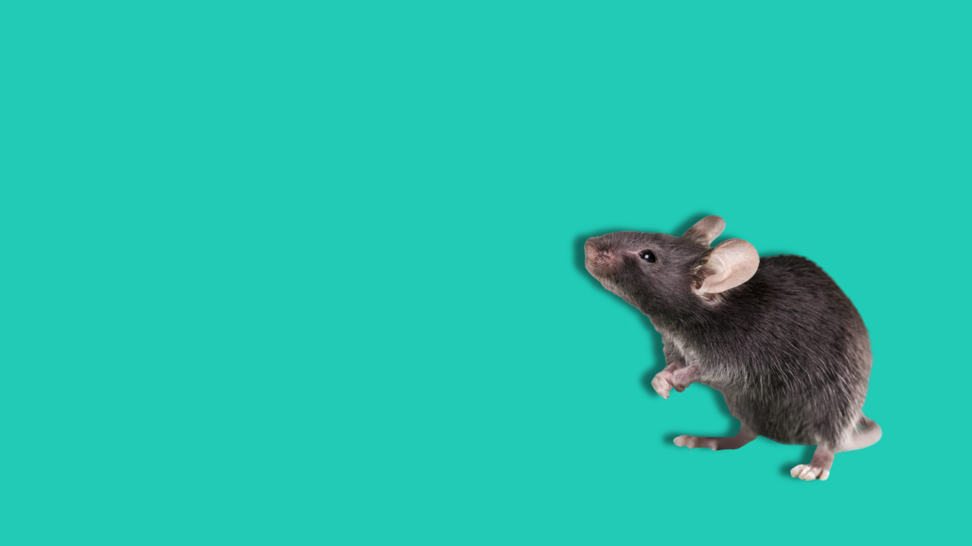 Di acetato, memoria e differenze di genere