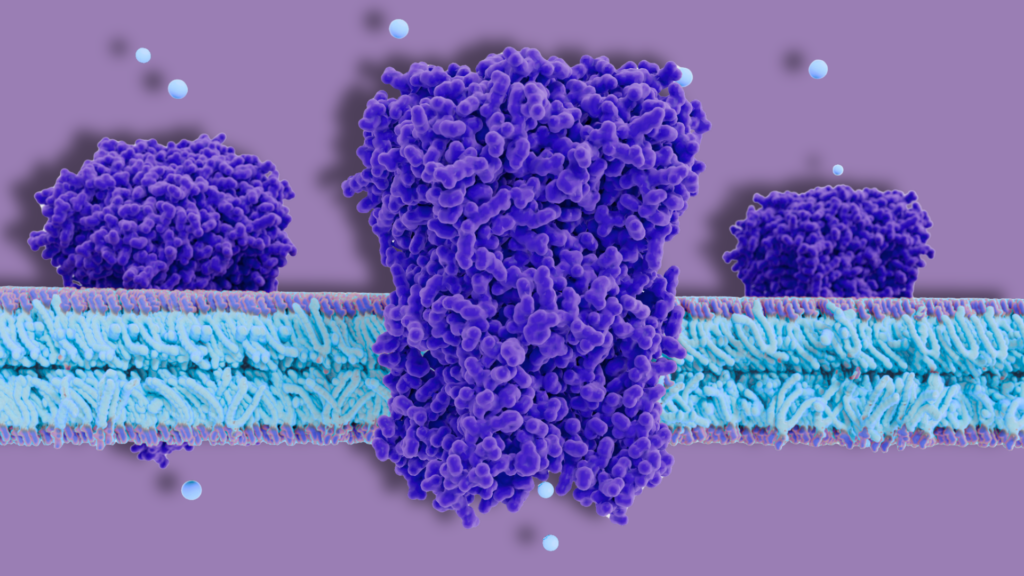 canali ionici su sfondo viola