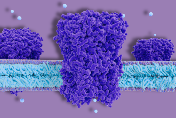 canali ionici su sfondo viola