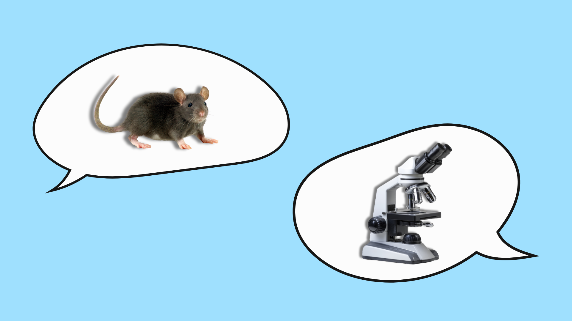 Comunicare la sperimentazione animale: una sfida necessaria