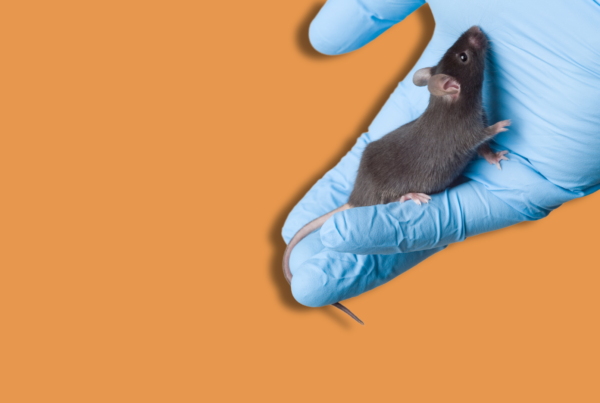 una mano con guanto da laboratorio che tiene un topo su sfondo arancione