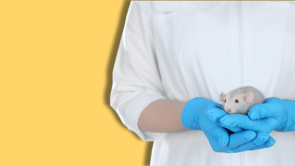 un ratto tenuto in mano da persona con camice e guanti