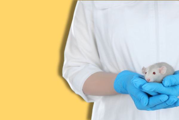 un ratto tenuto in mano da persona con camice e guanti