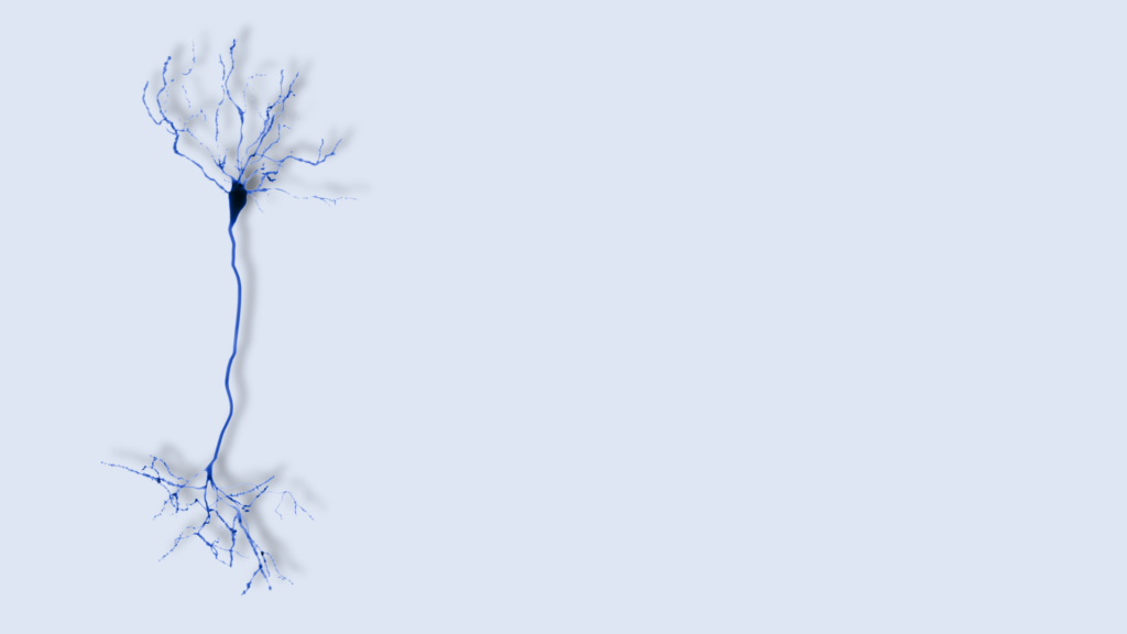 un neurone su sfondo uniforme