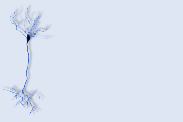 un neurone su sfondo uniforme