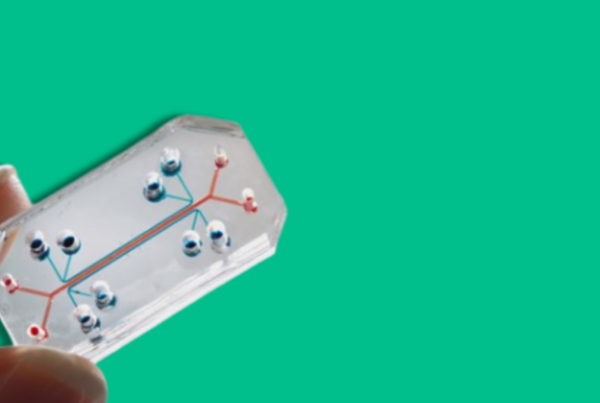 organ on a chip su sfondo uniforme