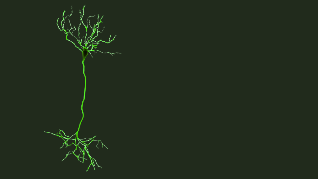 immagine di neurone su sfondo uniforme