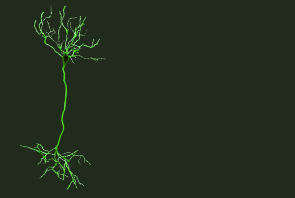 immagine di neurone su sfondo uniforme