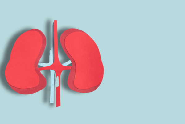 rene ritagliato nella carta su sfondo azzurro