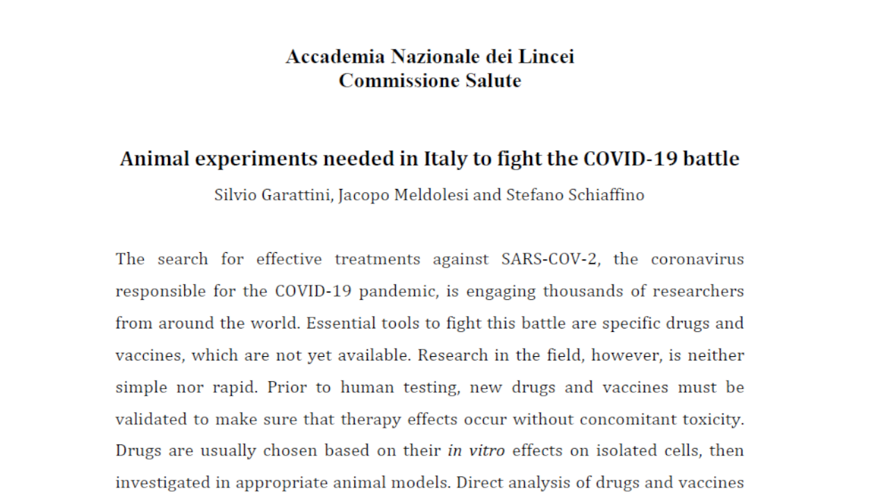 Gli esperimenti sugli animali necessari in Italia per combattere la battaglia COVID-19