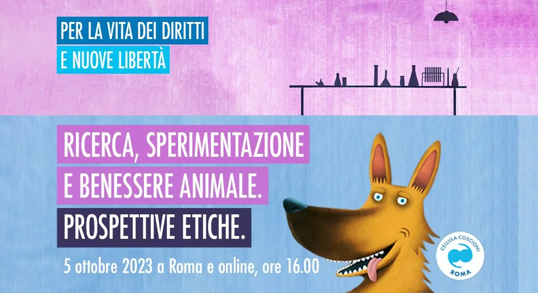 Prospettive etiche e sperimentazione animale, il seminario dell’Associazione Luca Coscioni