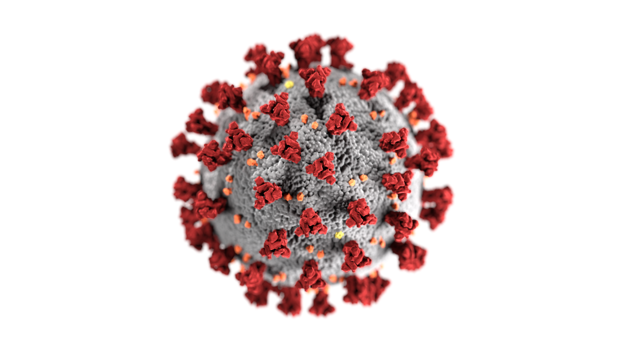 Coronaviridae in medicina veterinaria: similitudini con il SARS-COV2