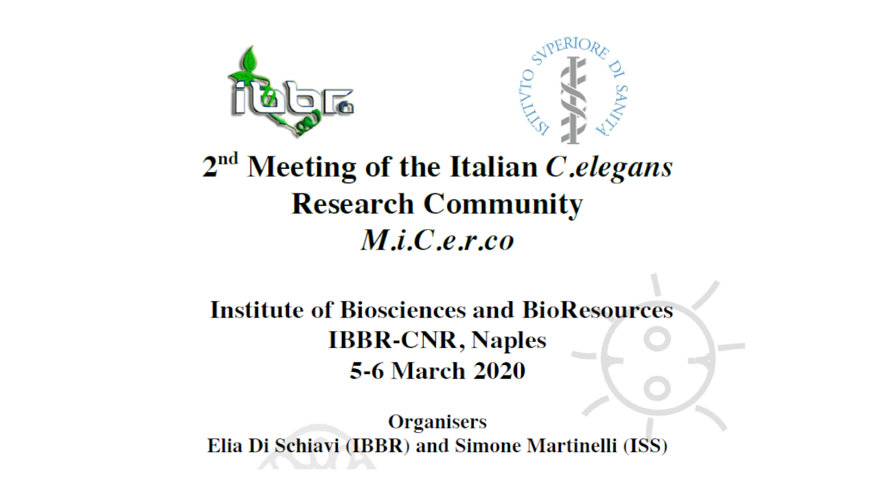 “2nd Meeting of the Italian C. elegans Research Community” (M.I.C.e.R.Co.)